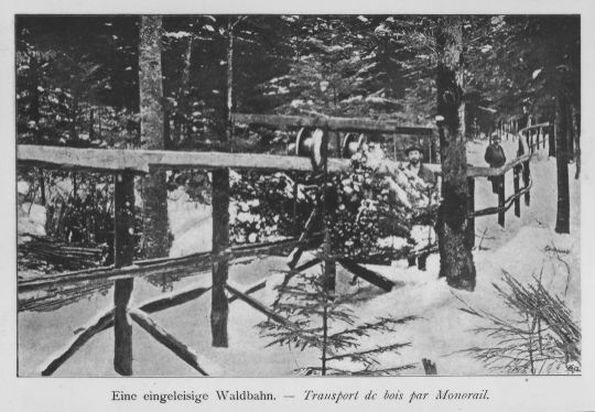 Foto Eingleisige Waldeisenbahn