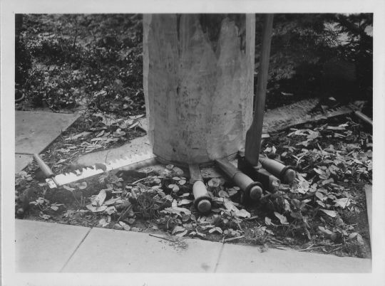 Foto Vorbildliche Fällung mit dem dazugehörigen Werkzeug