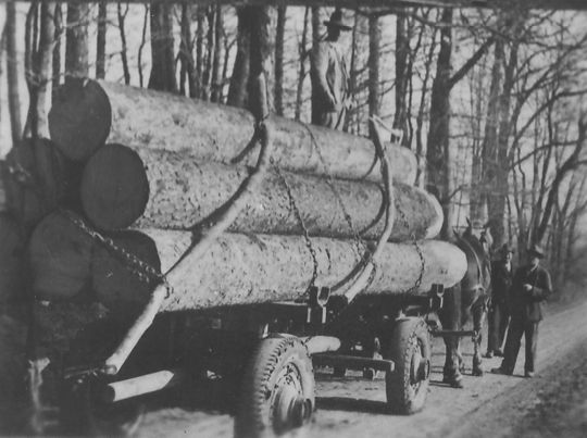 Foto Langholztransport mit gummibereiftem Wagen