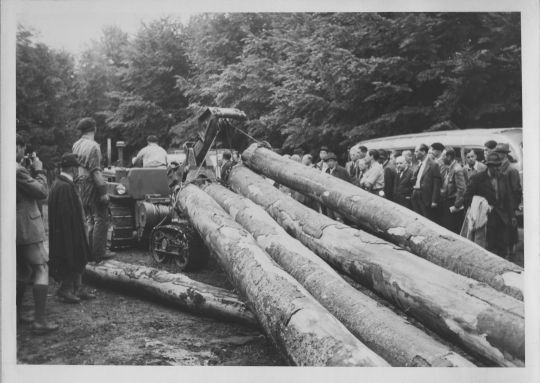 Foto Holzrücken mit Raupenschlepper und Rückebogen Ajax
