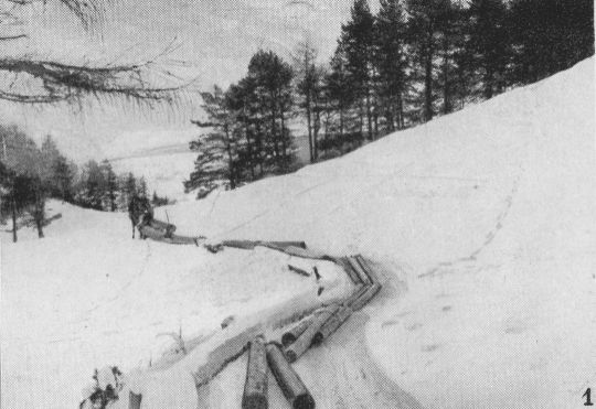 Foto Langholztransport mit Pferdeschlitten