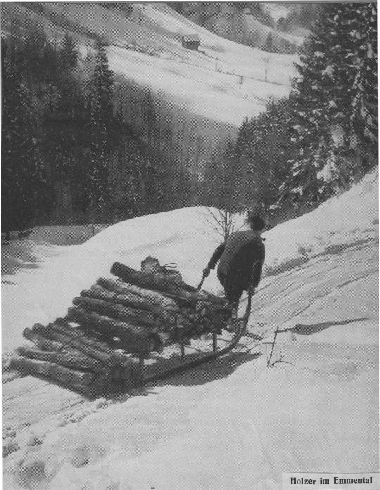 Foto Holztransport mit Handschlitten im Emmental