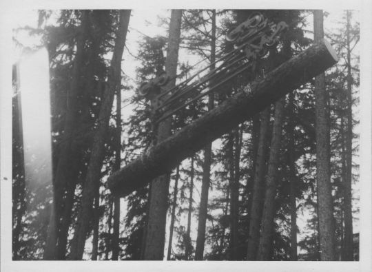 Foto Transport von Langholz mit der Drahtseilriese im Wald