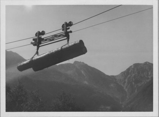 Foto Transport von Langholz mit der Drahtseilriese im Gebirge