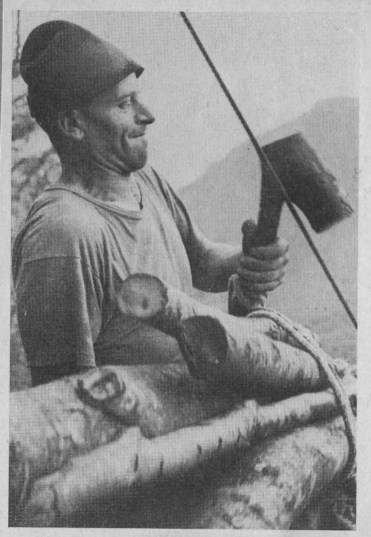 Foto Holztransport mit Drahtseilriese