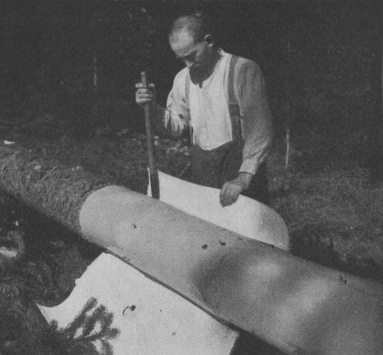 Foto Schälen des untersten Meterstückes am stehenden Stamm