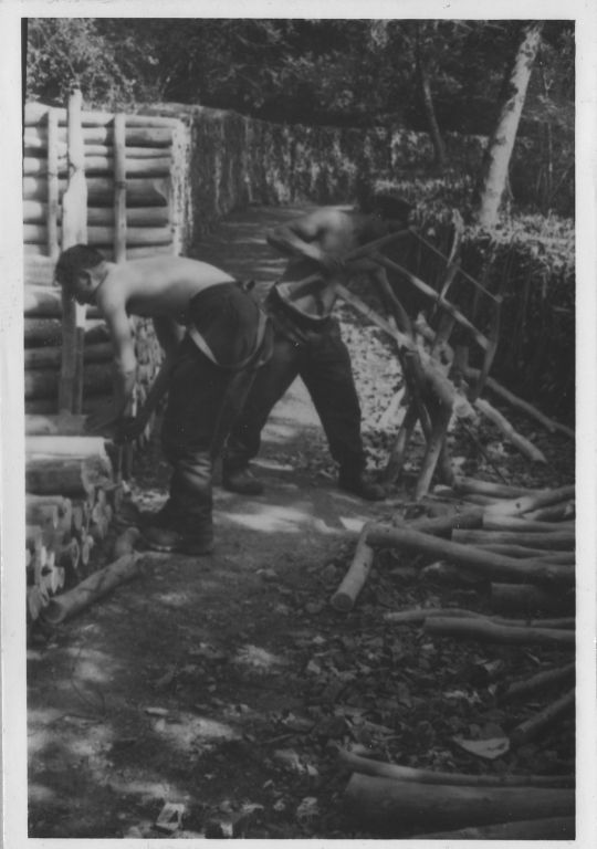 Foto Aufklaftern von geschältem Holz