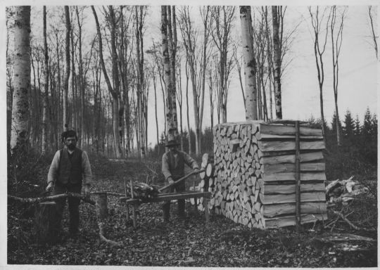 Foto Wellenmacher im "Forst" der Burgergemeinde Bern