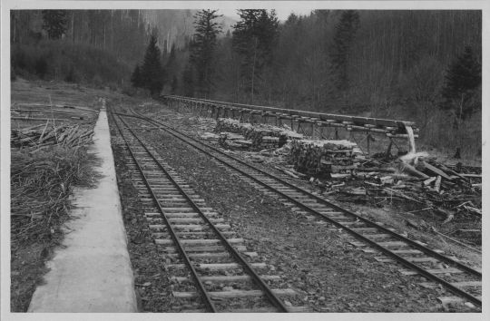 Foto Holztransport mit Wasserriese und Waldbahn