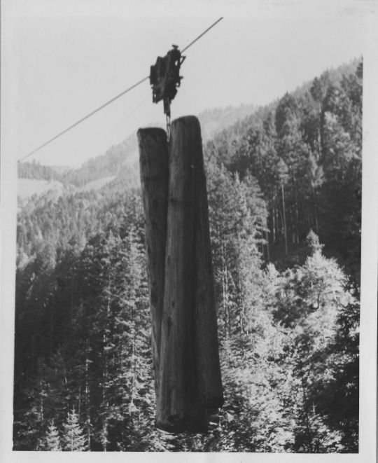 Foto Holztransport per Verfahren mit Tragseil