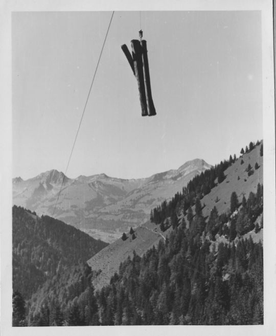 Foto Holztransport per Verfahren mit Tragseil