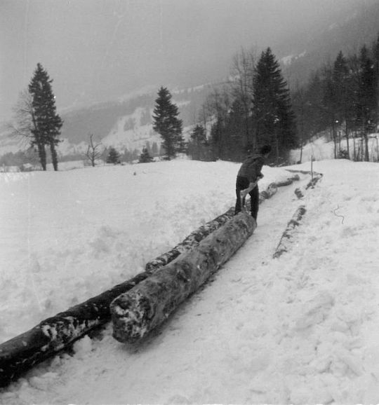 Foto Holztransport auf einem Schleifweg im Winter