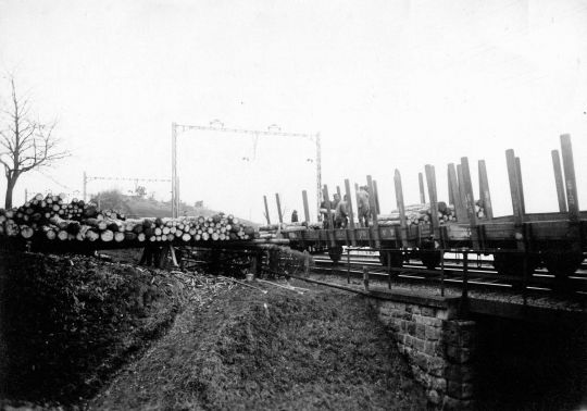 Foto Deponie und Verlad von Holz auf Bahnwagen