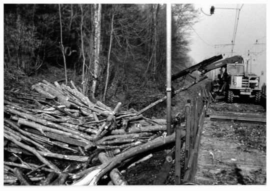 Foto Deponie und Verlad von Holz auf Bahnwagen
