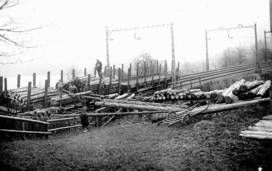 Foto Deponie und Verlad von Holz auf Bahnwagen