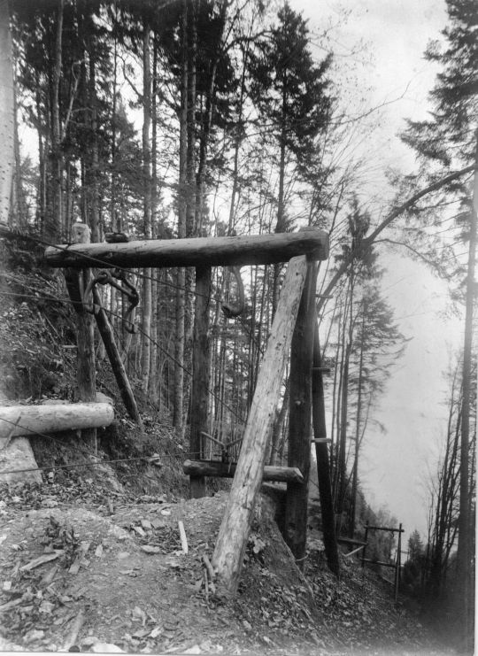 Foto Treicheseil