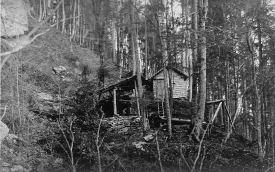 Foto Treicheseil