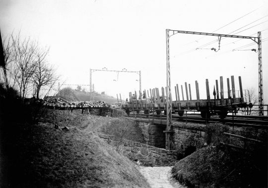 Foto Deponie und Verlad von Holz auf Bahnwagen