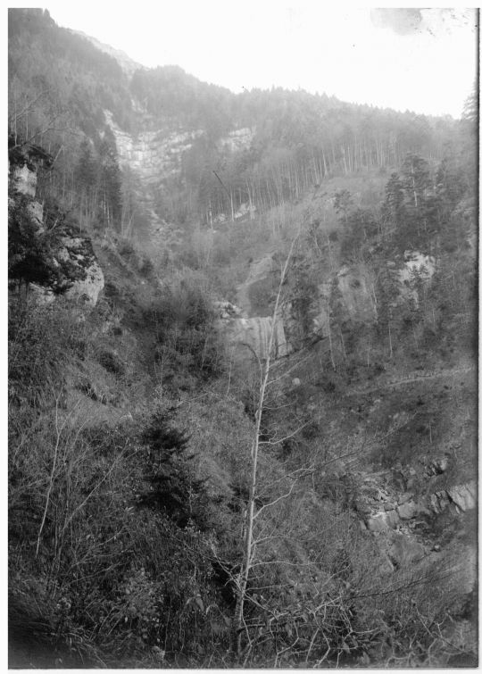 Foto Riesweg