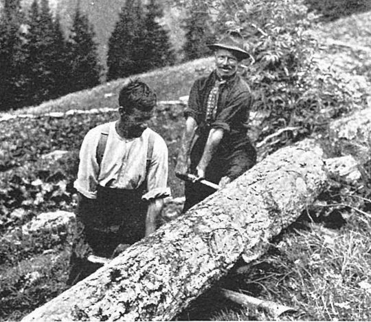 Foto Zwei Personen beim Wenden eines Baumstammes
