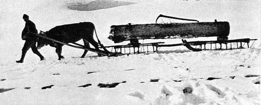 Foto Holztransport mit ochsengezogenem Schlitten