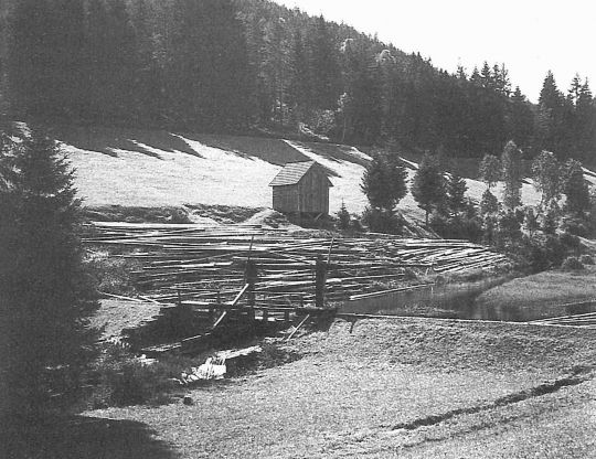 Foto Einbindestatt mit Polterplatz im Kleinenztal