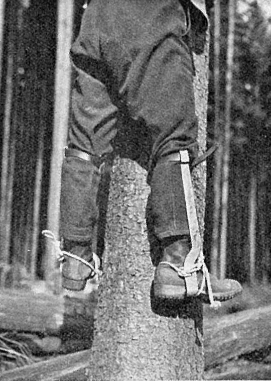 Foto Steigeisen