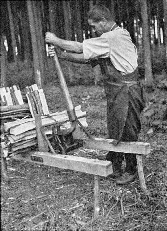 Foto Wellenbock Schwyn