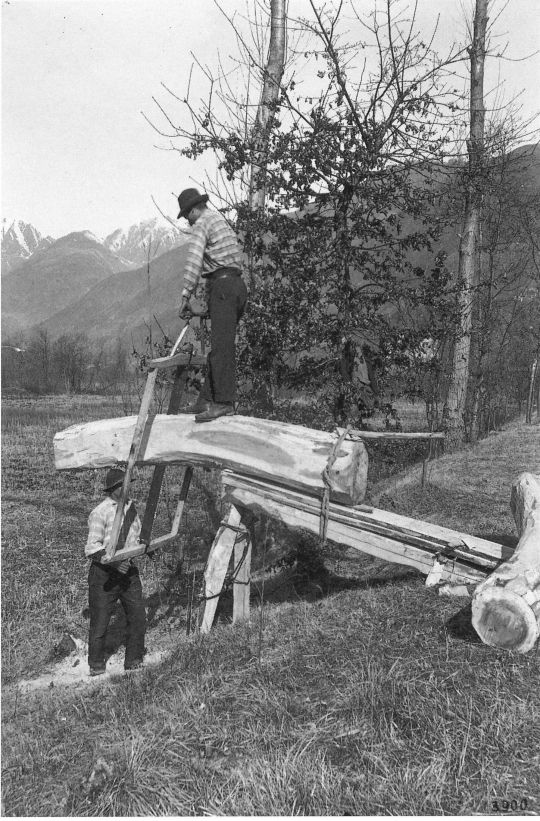 Foto Brettersäge auf freiem Feld