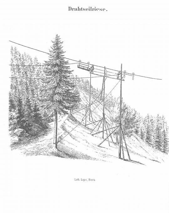 Foto Transport eines Stammes mit Drahtseilriese