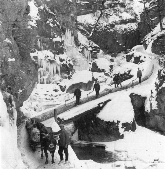 Foto Holztransport aus dem Kleinen Melchtal