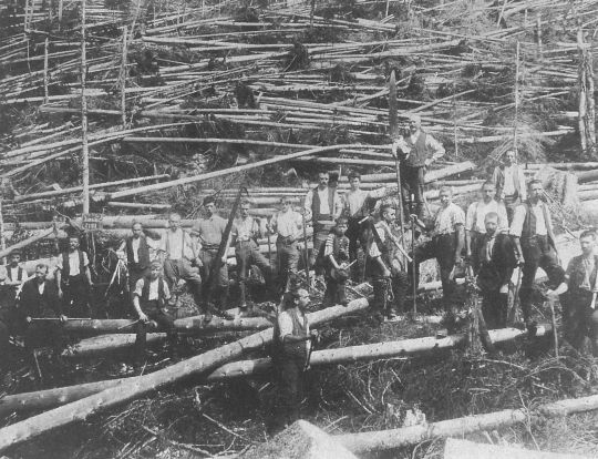 Foto Aufarbeitung von Sturmholz im Umghiten, Giswil