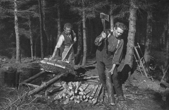 Foto Waldarbeiter beim Holzrüsten