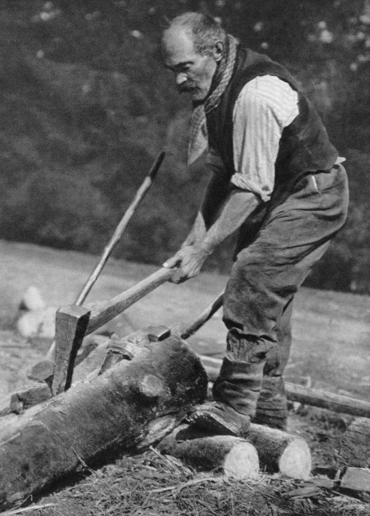 Foto Spalten des Brennholzes im Zürcher Oberland