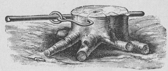 Foto Stockrodung mit Hebbaum und Ziehhaken