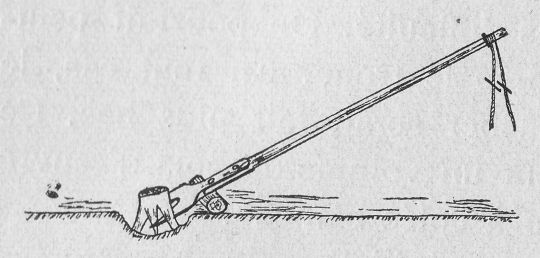 Foto Stockrodung mit "Levier interfixe"