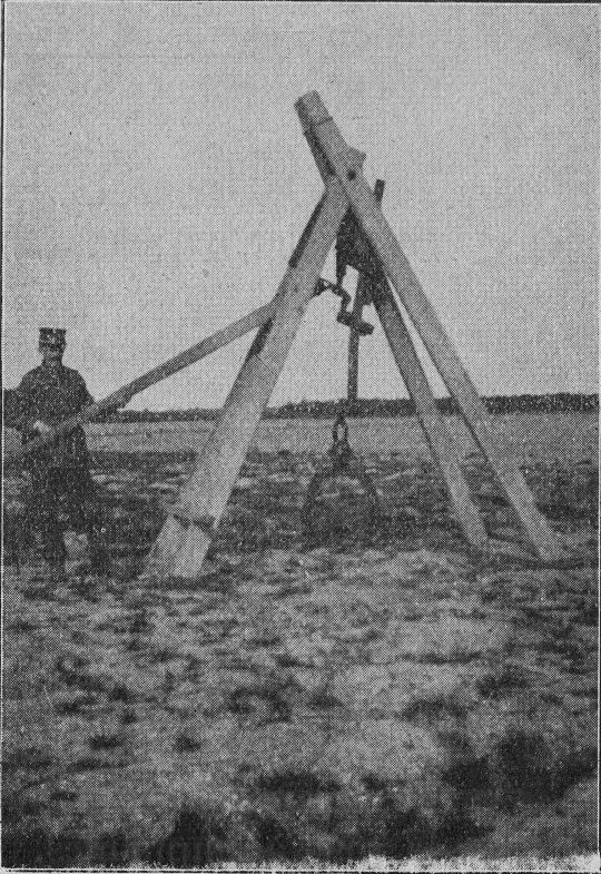 Foto Stockrodung mit Rodebock, Modell "Peters"