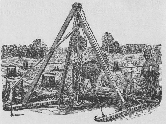 Foto Transport des  Rodebocks Modell "Bennett"