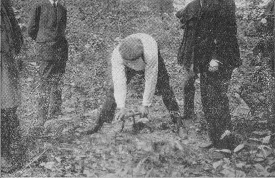 Foto Vorbereitung der Rodung durch Sprengung