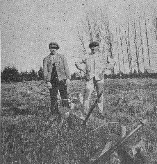 Foto Vorbereitung der Rodung durch Sprengung