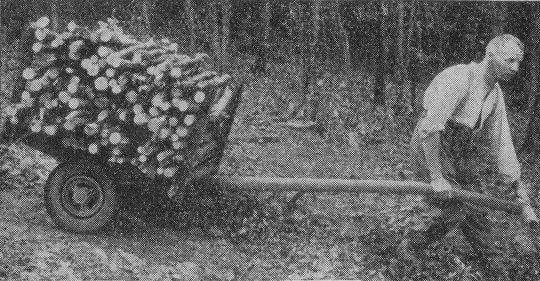 Foto Zweirädriger Rückekarren mit Luftbereifung Mod. Draize, Neuenburg