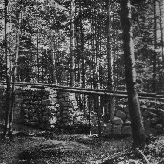 Foto Damm des Gschlachtwald-Riesweges