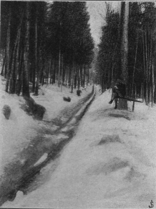 Foto Bärengraben-Riesweg