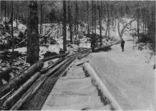 Foto Verzweigung des Weidbach-Riesweges