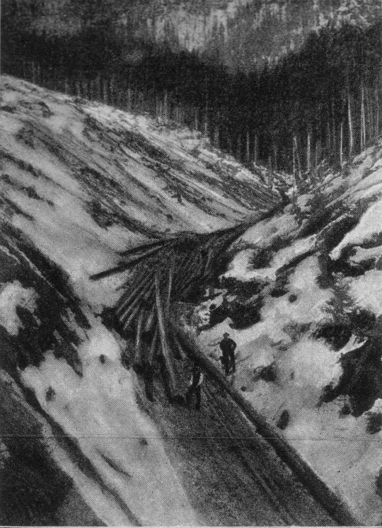 Foto Wandernde Einkehr des Bärengraben-Riesweges