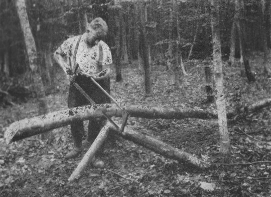 Foto Einschneiden von Brennholz