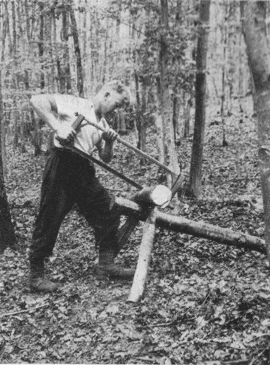 Foto Richtige Arbeitsstellung beim Einschneiden mit der Einmann-Spannsäge