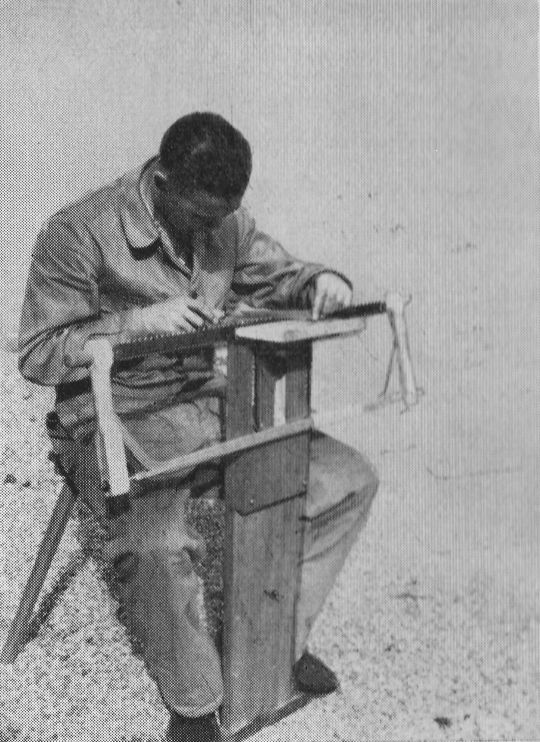 Foto Verwendung des Sägenfeilbocks