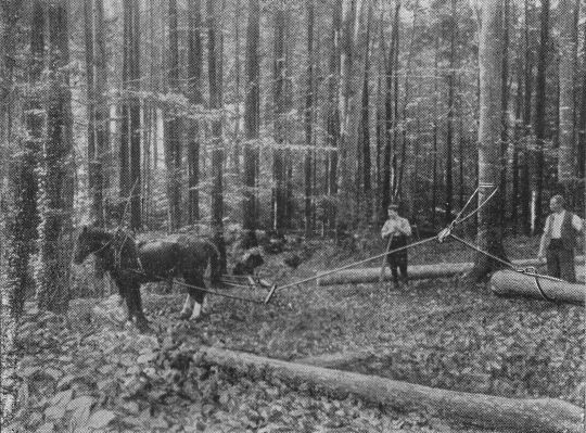 Foto Holzschleifeinrichtung "Raco" der Firma Roebert Aebi & Cie., AG., Zürich
