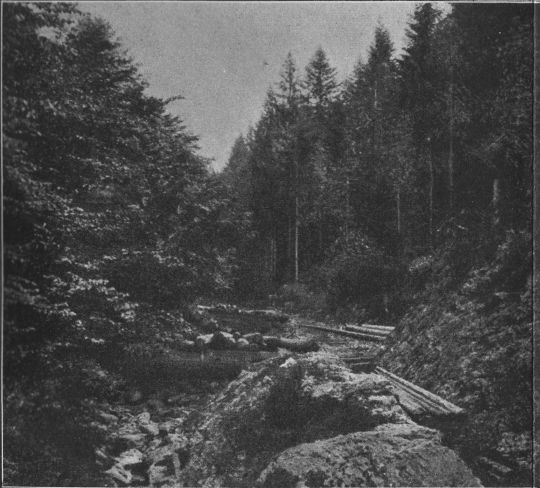 Foto Wechsel am Ascher-Riesweg